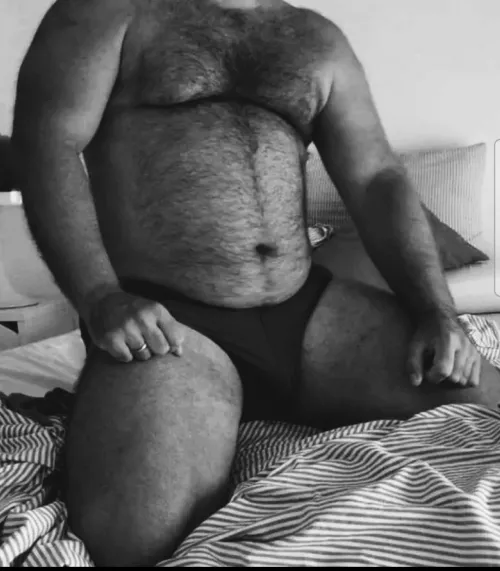 39 Bear Near Terre Haute, Indiana. Open to new adventures!! Anyone clise to me.