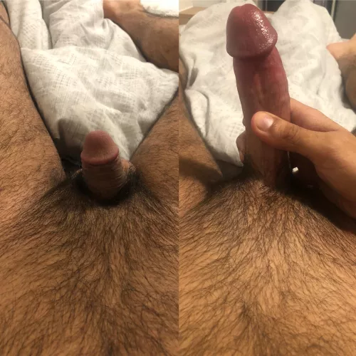 arab cock - 2 -> 6.5 inches