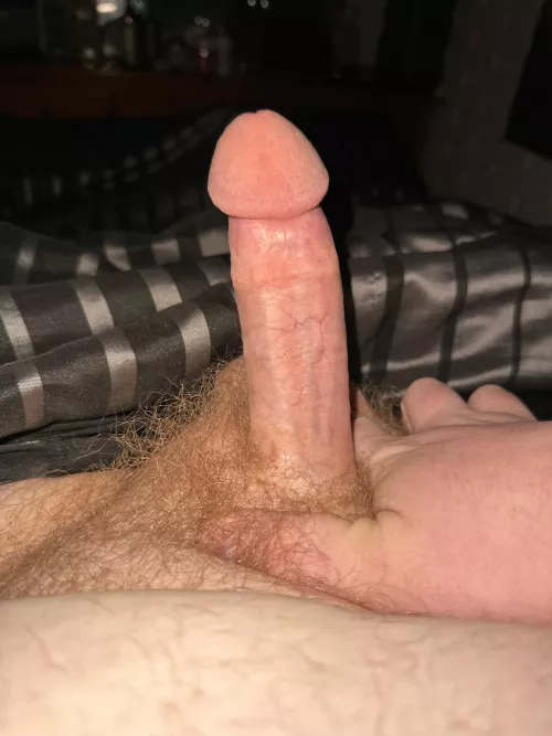 Been a while since I posted here 😅