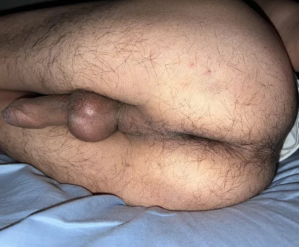 Busty ballsacks 😈🐽💦