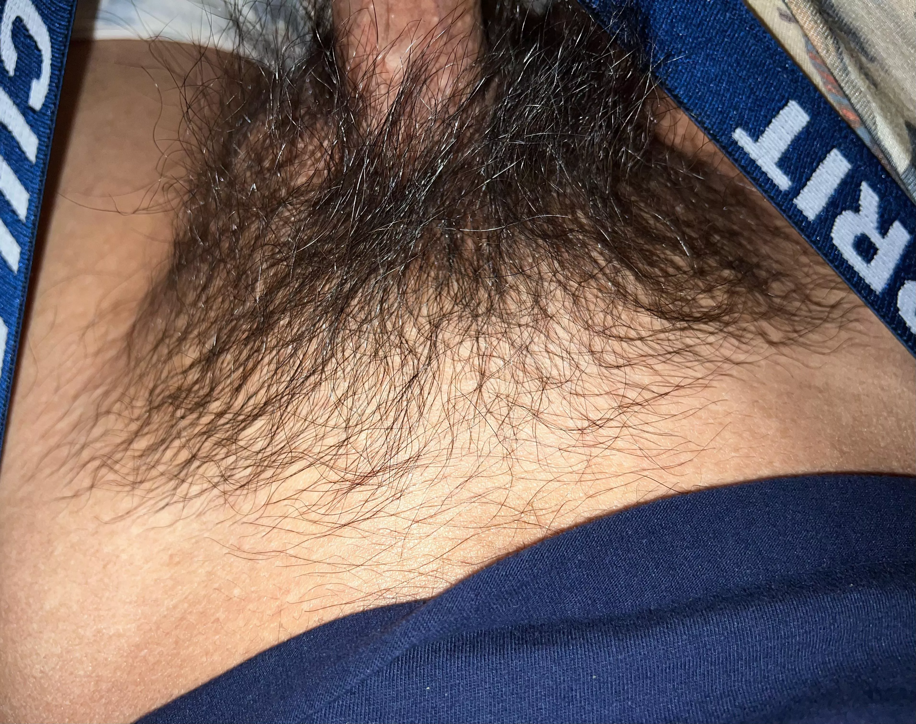 Cum sniff my sweaty unwashed pubes that we’re trapped in rank undies 😈🐽🤠