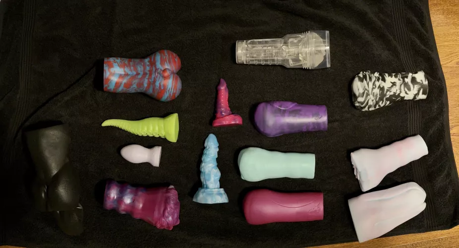 Had everyone out for cleaning and got a pic of them all