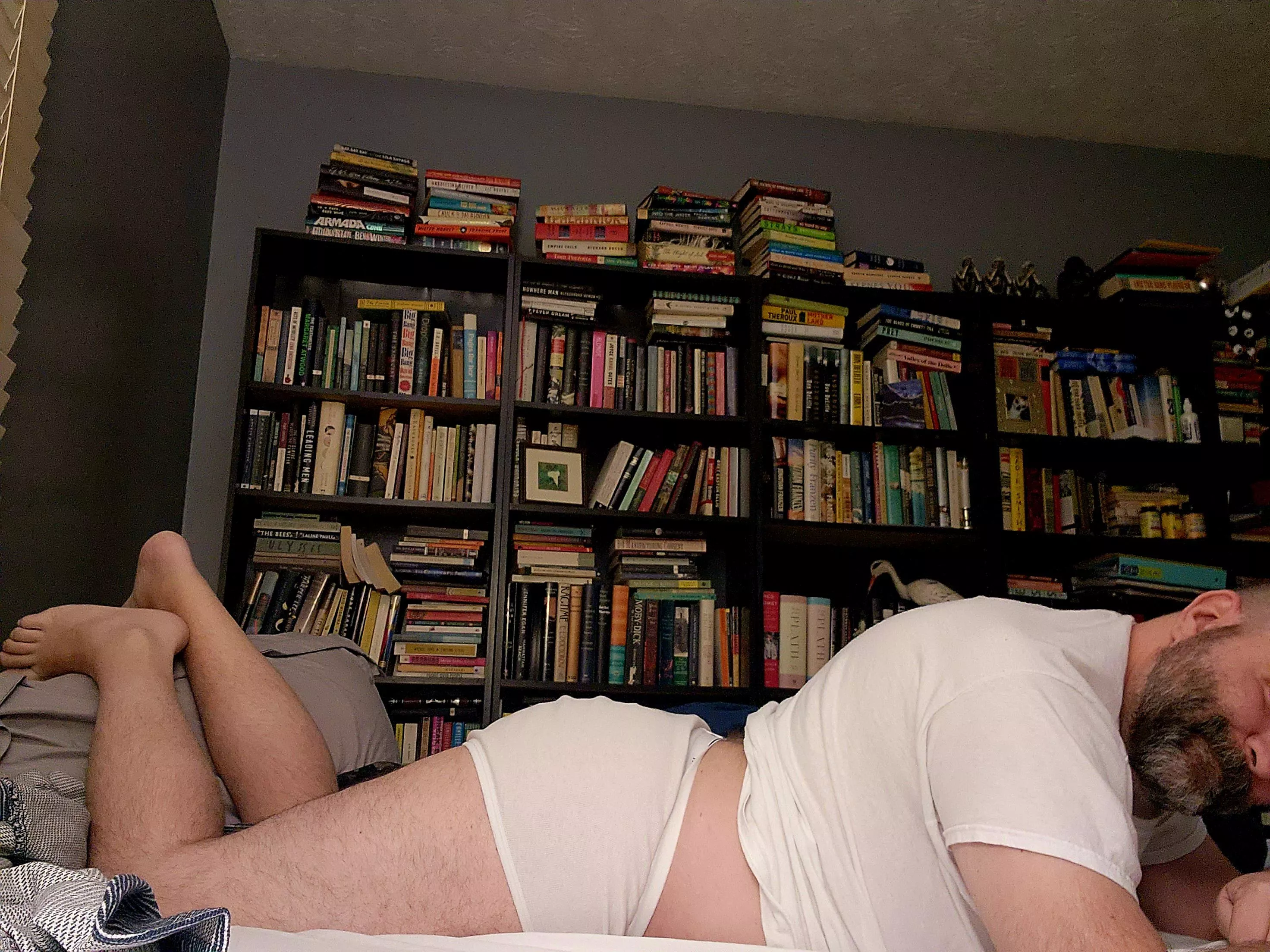 Hardcover lover [42]