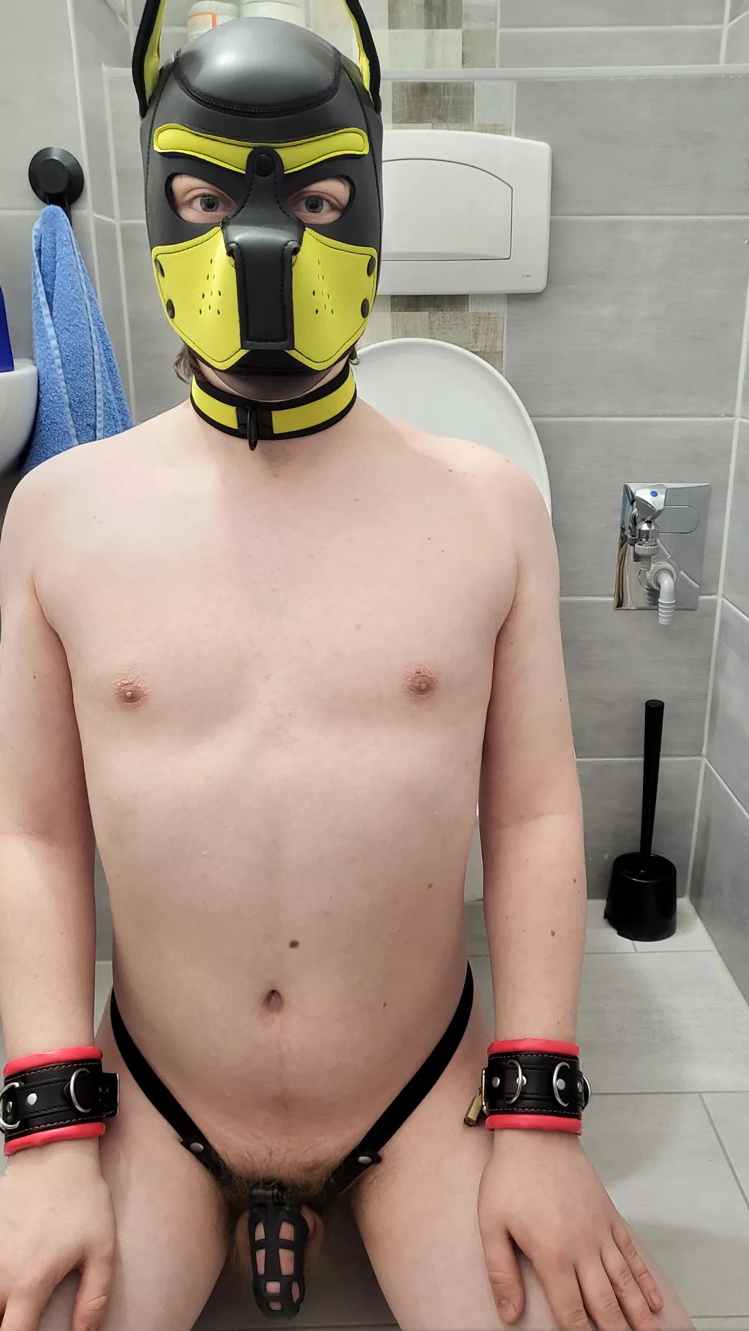 Just a locked pup waiting to be used