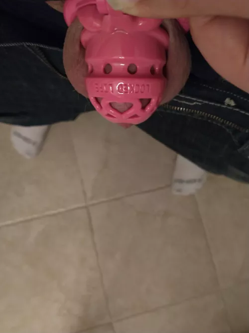 My new cage I love it so much❤️❤️❤️