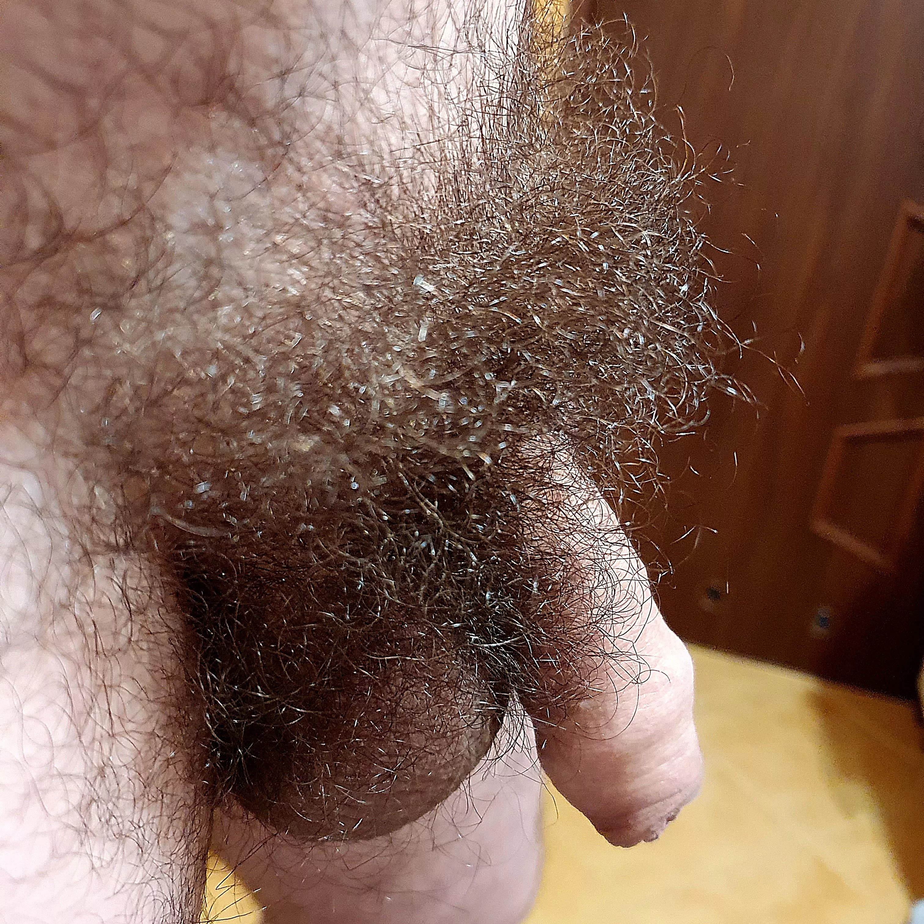 #SaveThePubes