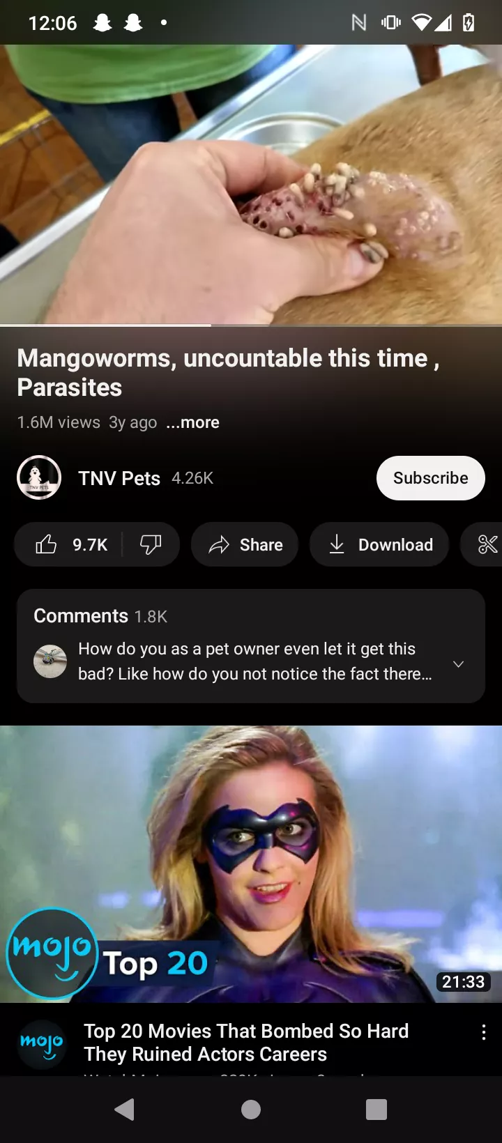 This is the worst thing that I have ever seen! mango worms 🤢 https://youtu.be/X5F7Ol9lVOI