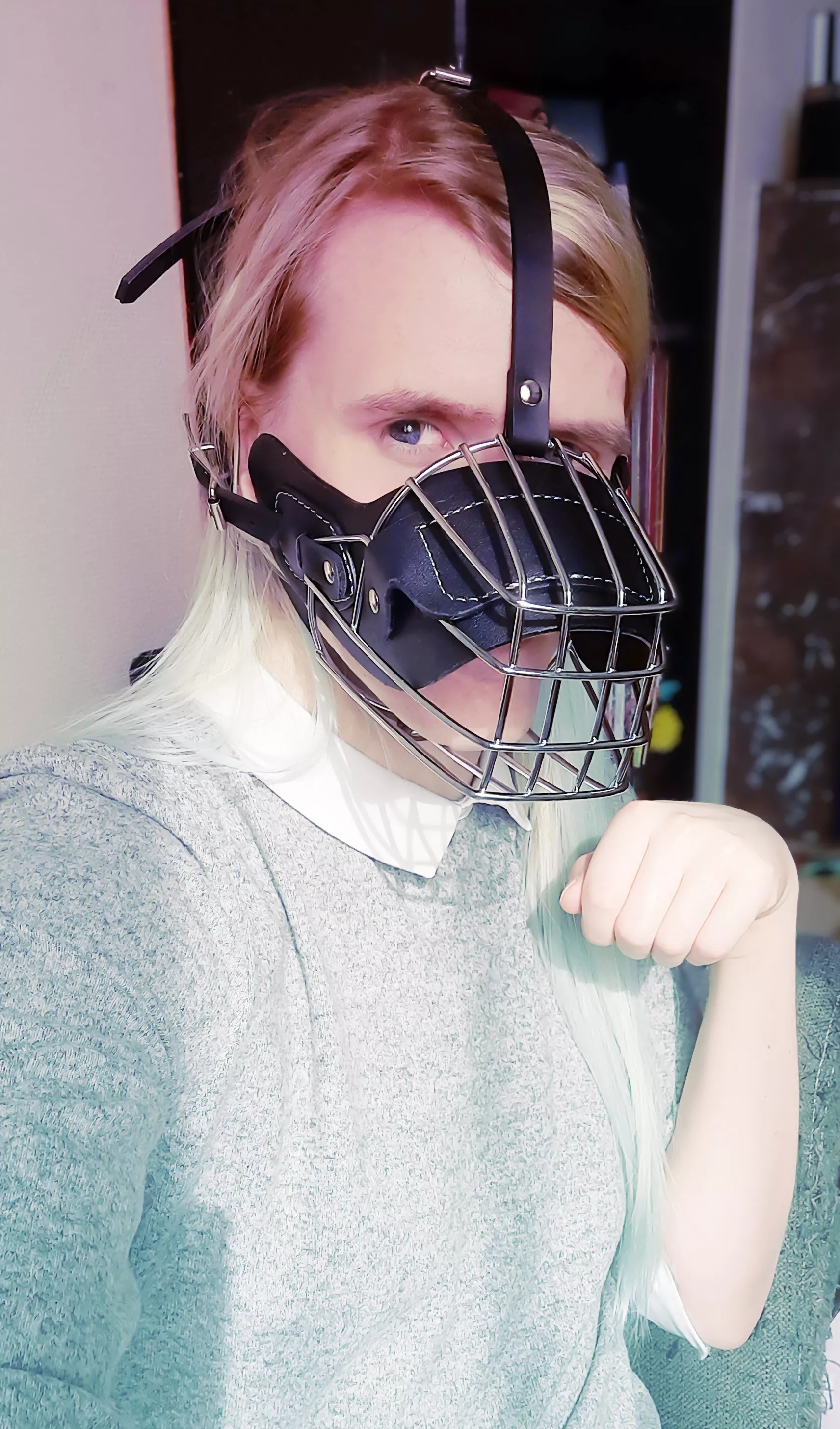 Trying my new muzzle ! Aren't I cute? 🐕