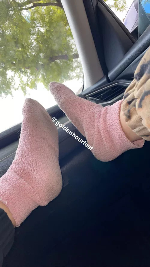 Upvote if you like my fuzzy socks😈