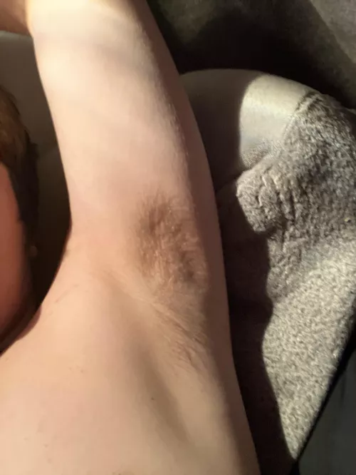 Who wants to sniff em