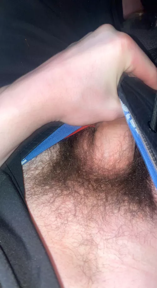 18* old pic, my bush has grown alot since then