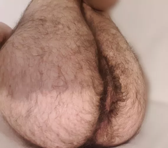 Anyone like a hairy butt?