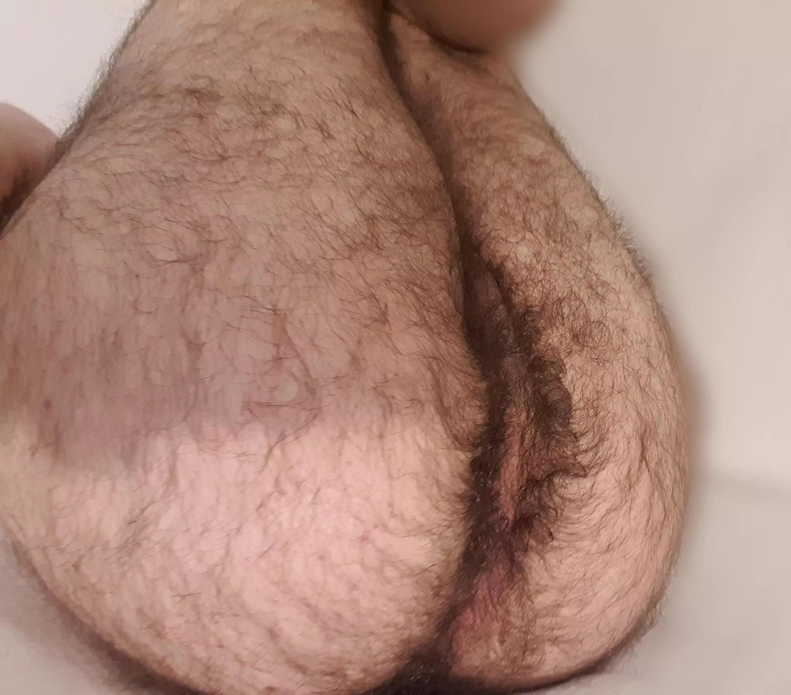 Anyone wanna smash my hairy ass, dm me