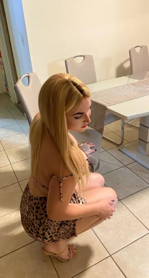 Are you a gay and a trans lovers Pm let have fun I'm horny asf