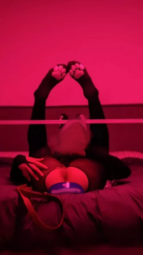 Can you fill out my plate?