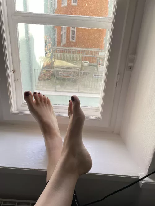 Finally got the socks off after a long walk