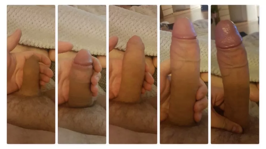 Here is my little grower in 5 stages