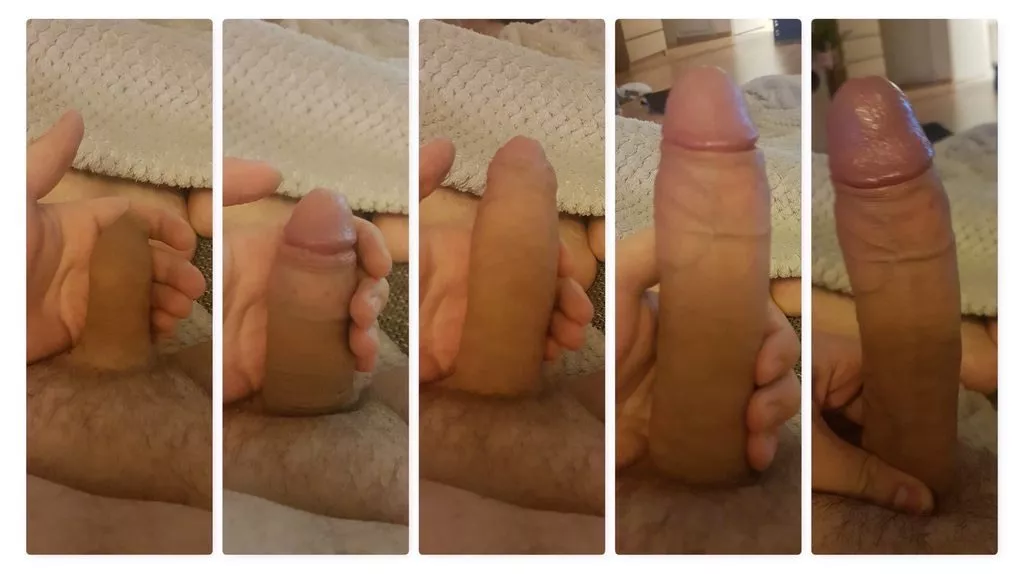 Here is my little grower in 5 stages