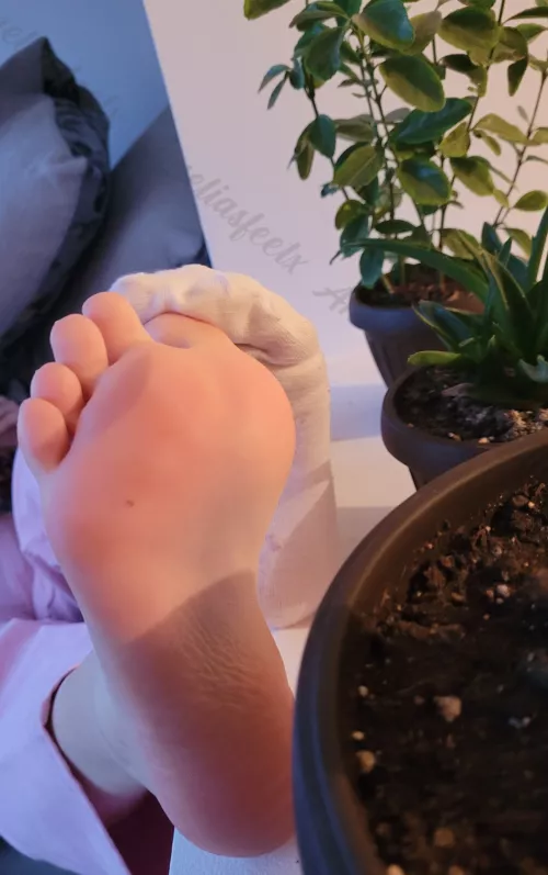 I bet my plants enjoyed the view 🤭