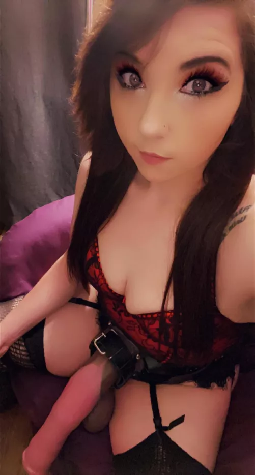 I only own big cocks… think you could handle them?