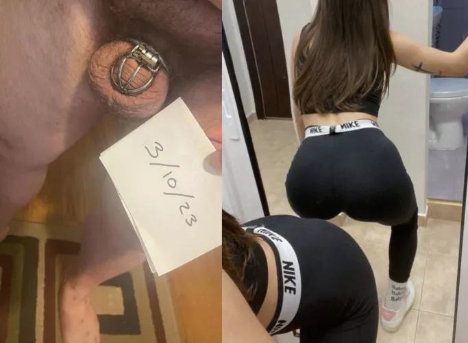 My new slave 😼🔐