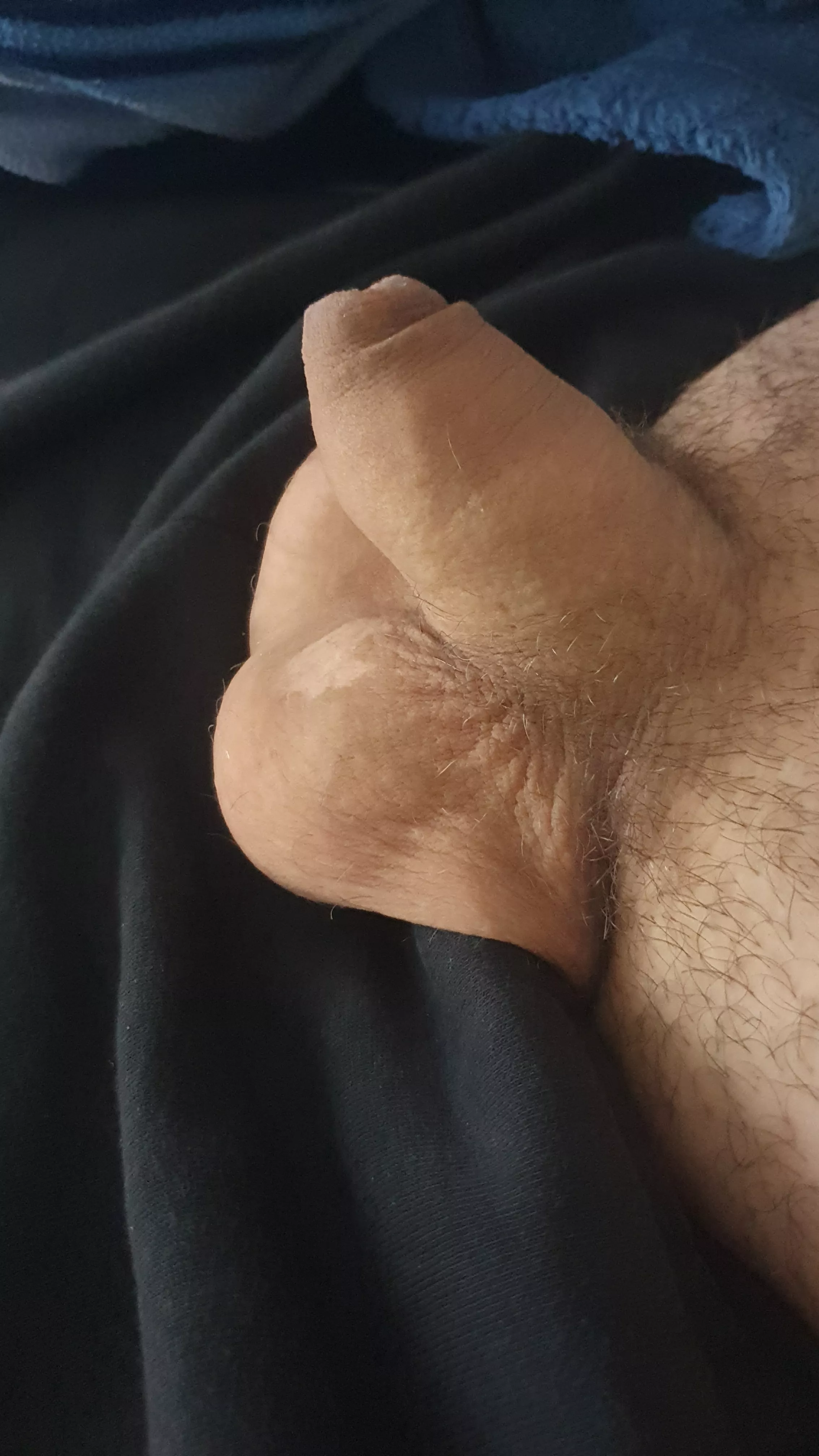 My softie saying hello to you all