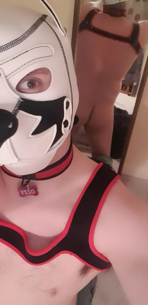 So, what do you wanna talk about?