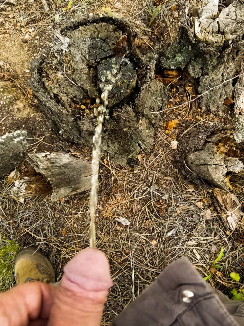 Trail Piss