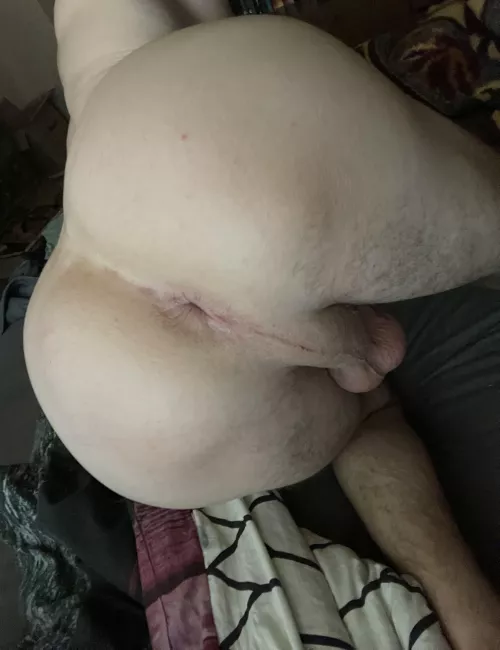What would you do with my tight hole ? [26]