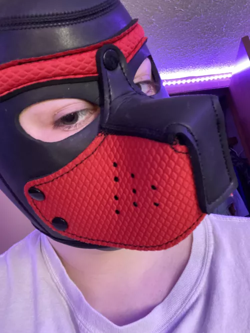 Anyone wanna see pup hood content?