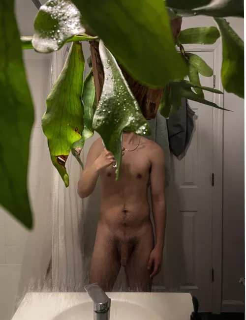 bought to get steamy