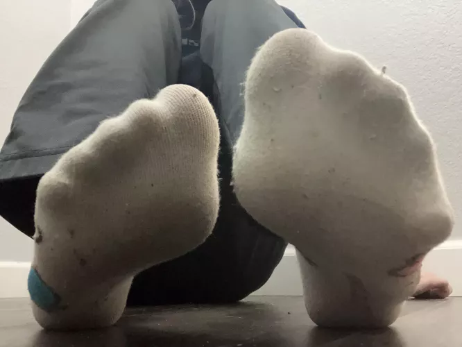 come get a mouth full of my stinky cute socks ;)
