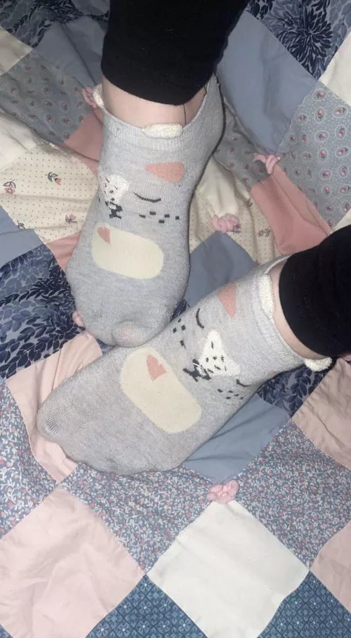 Cum sniff your surprise- size 11