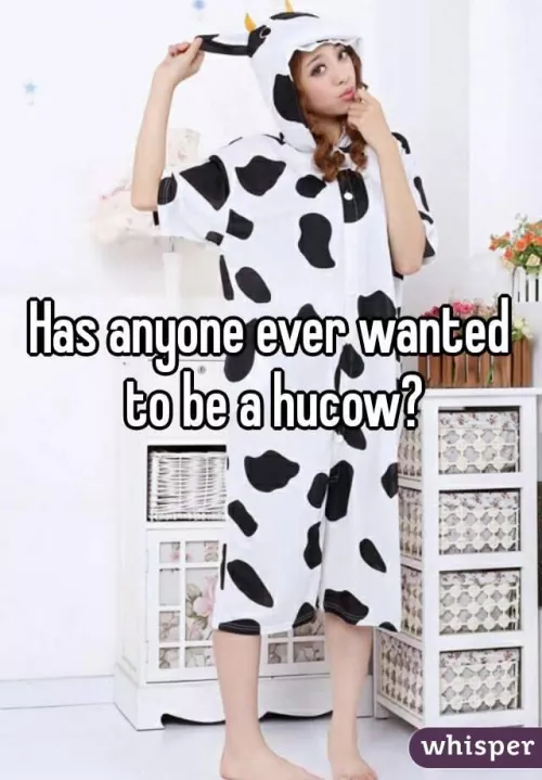 Hands up if you want to be a Hucow