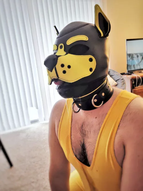 Head empty, no thoughts, only bones 🦴🤤