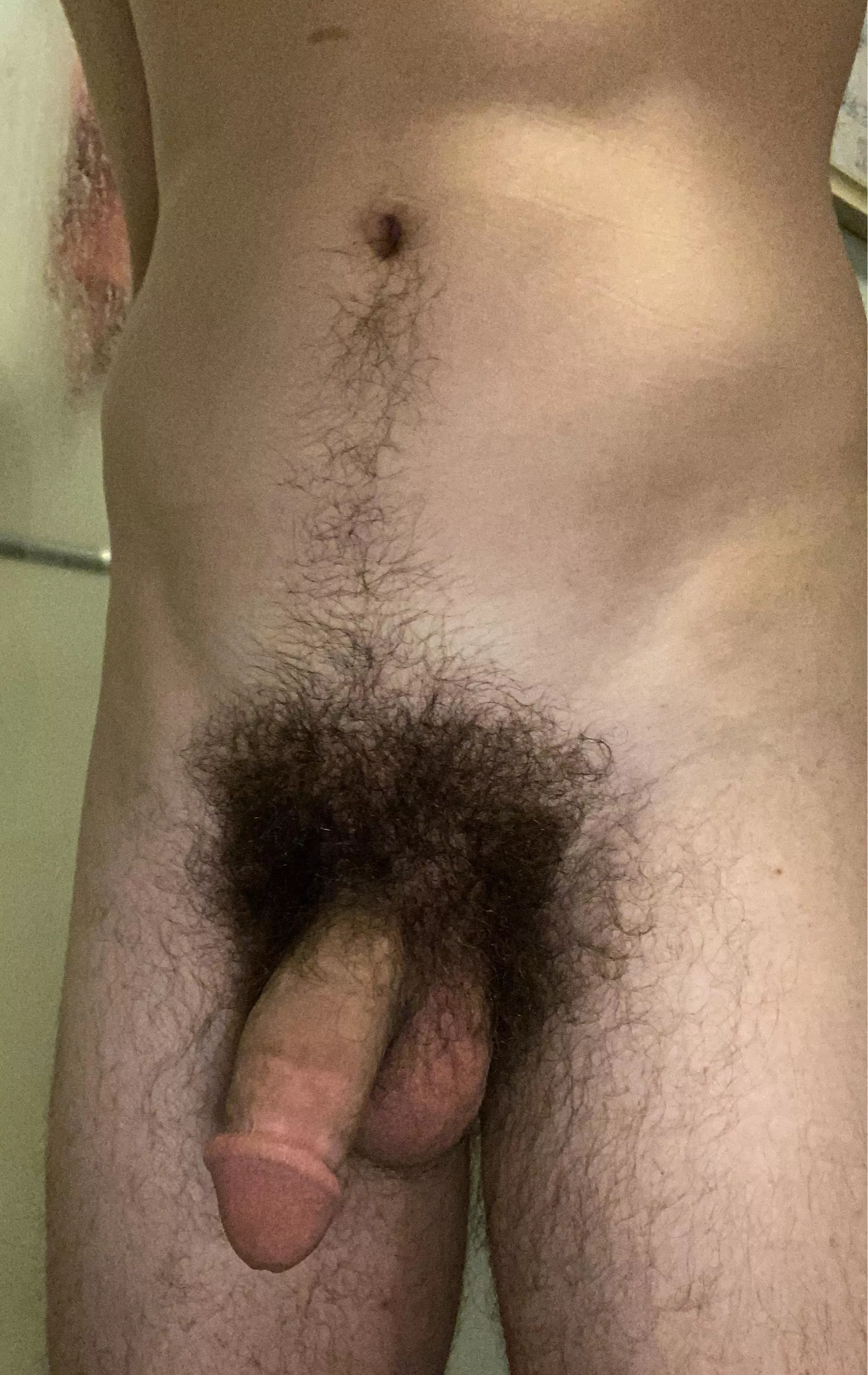 Hope you all enjoy my hairy dick this Monday morning!