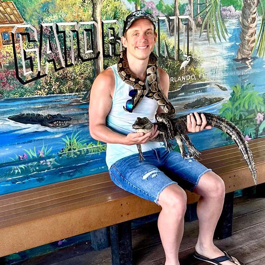 I love reptiles 💚