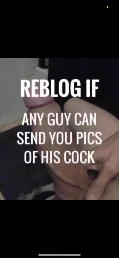 I wanna see your fat cock... plz show it to me