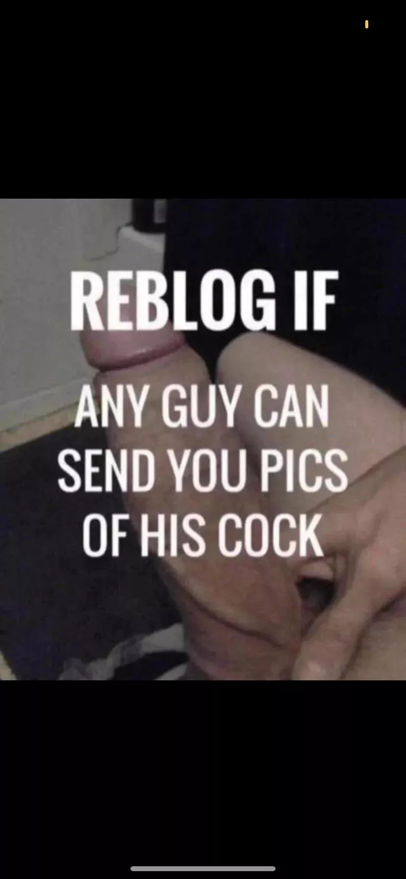 I wanna see your fat cock... plz show it to me