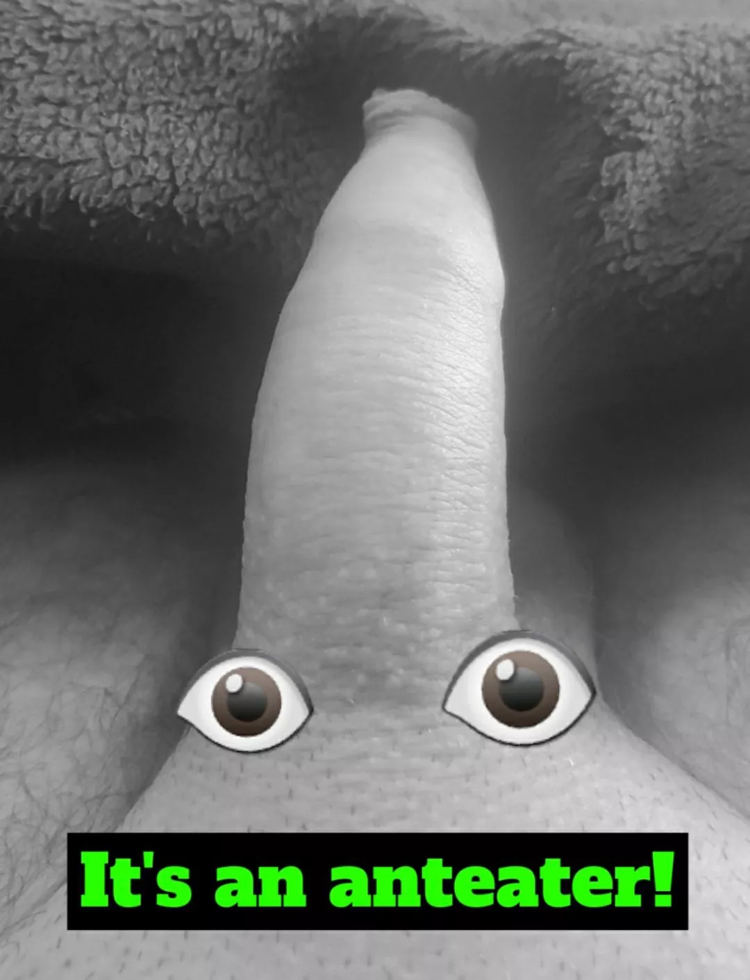 I'm so glad I found this subreddit 😂