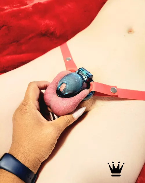 Long term chastity here we cum