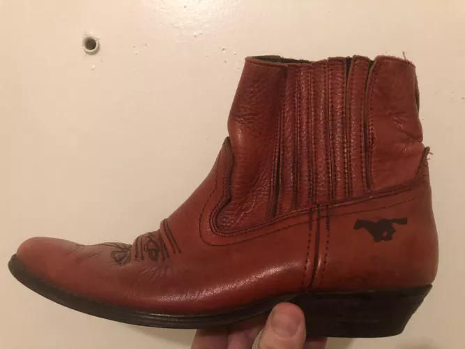 Lovely boots bought in BC Canada, no clues aside from the horse motif; Any ideas on the make ?