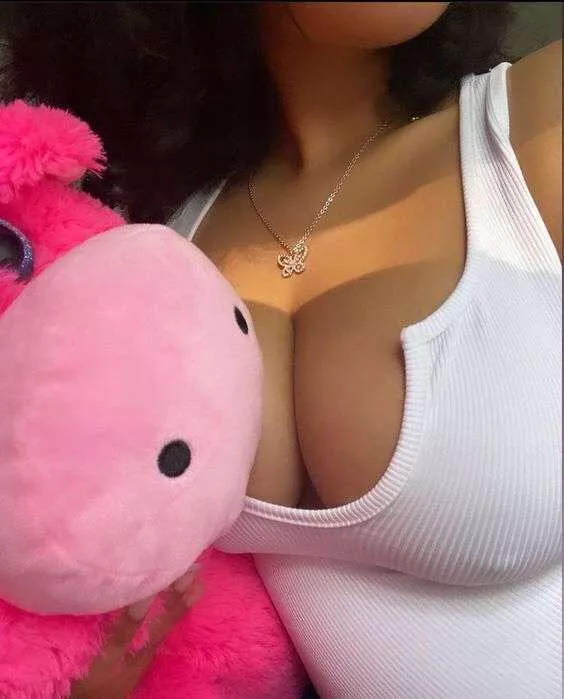 Megafolder very cheap😍