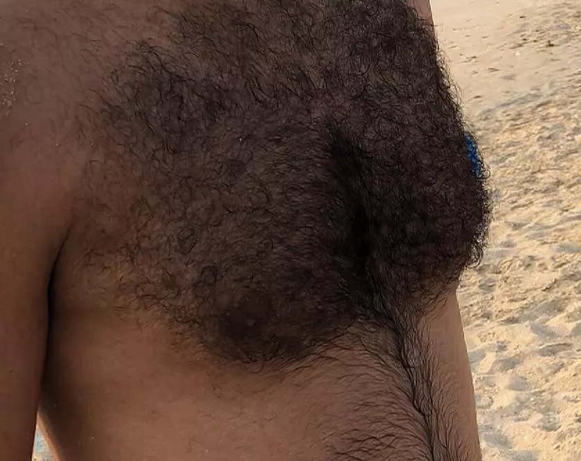 My hairy chest, HMU for fun