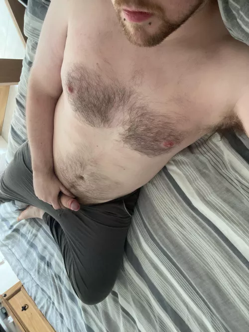 New bed sheets. Who’s gonna help me break em in?