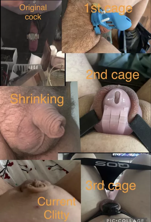 Sissy bf’s changes over the course of two years