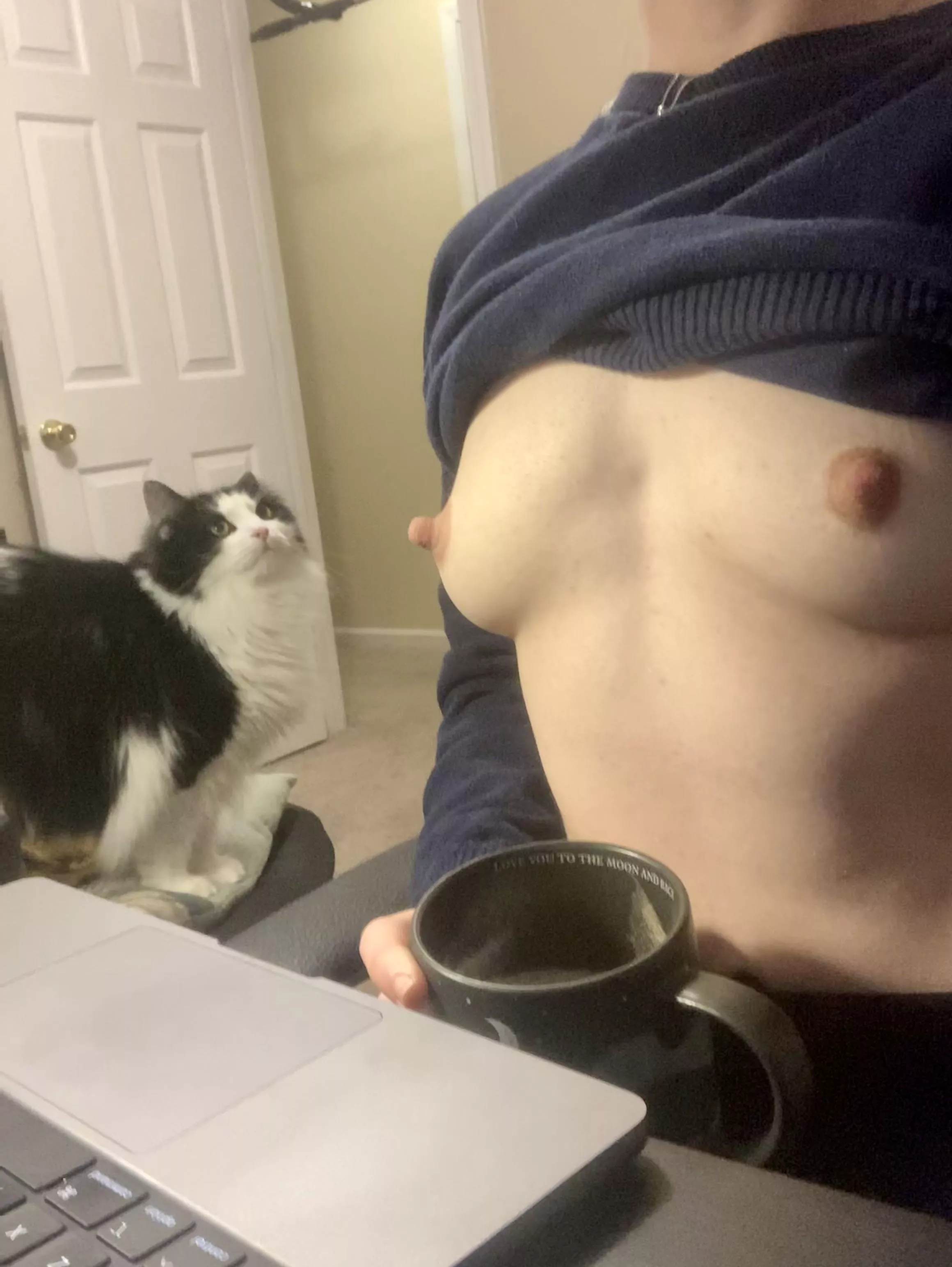 Someone is confused about why she isn’t getting all of the pets