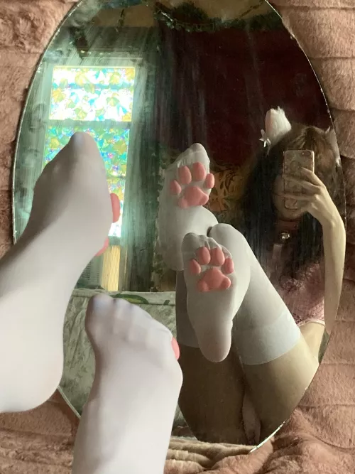 the pads are so squishy ^_^[f]