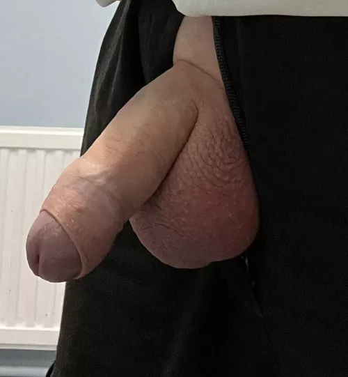 Think my balls are full today [45]