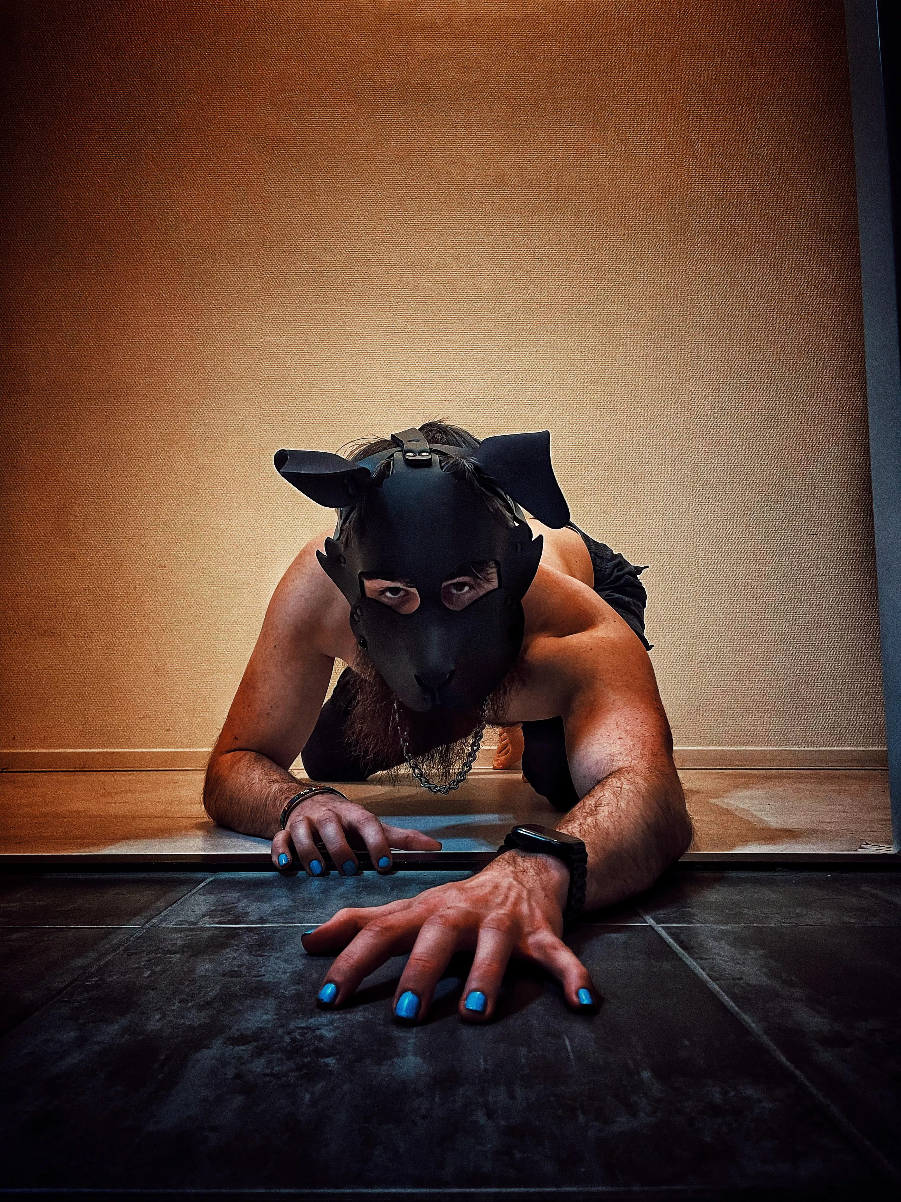 This silly mutt decided to give Reddit a go! ( intro )